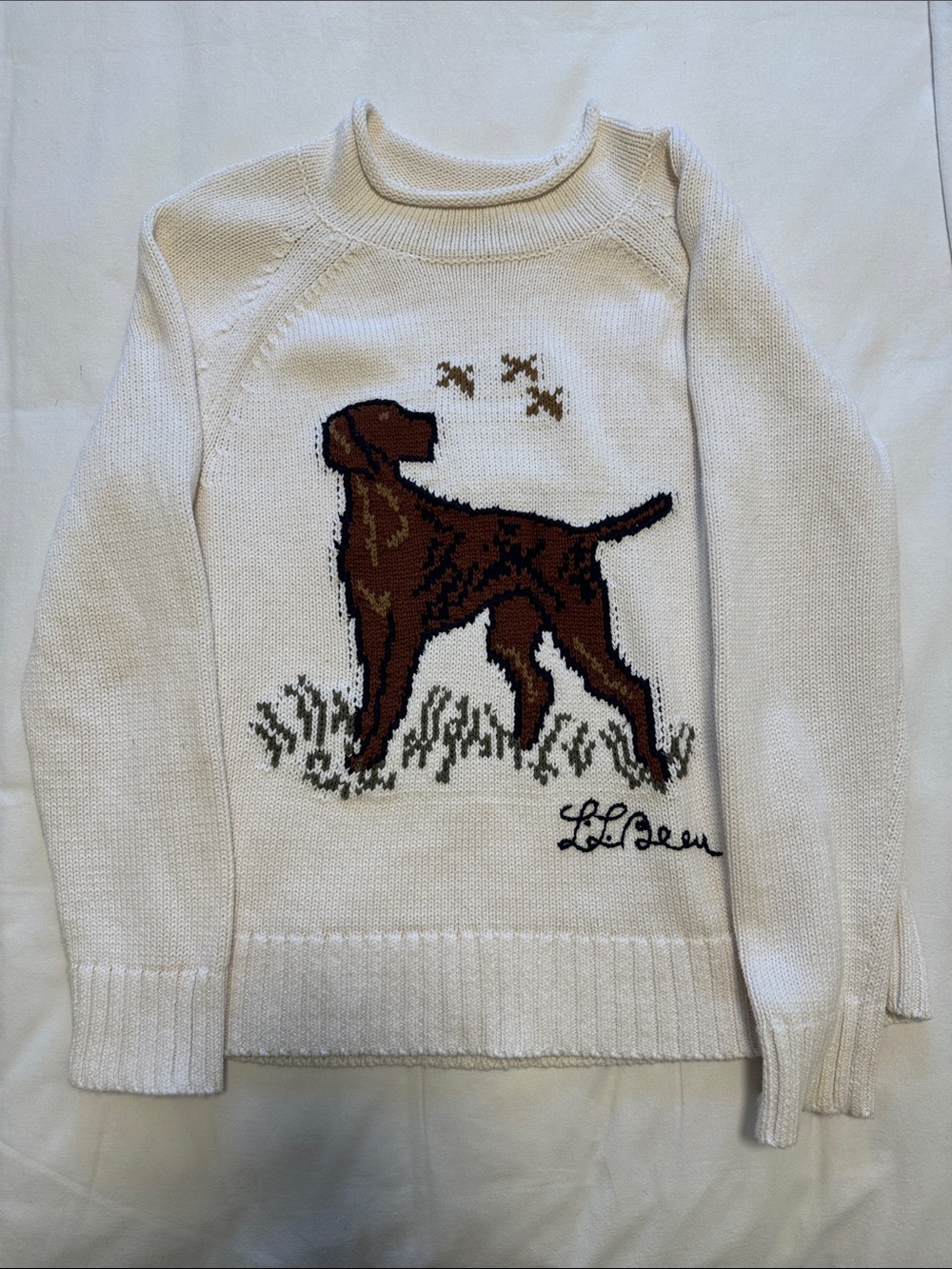 L.L. Bean Cream Sweater with Brown Dog Intarsia and Green Accents